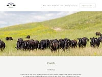Cattle | Agritech