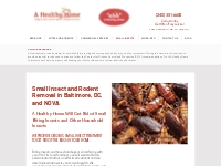 Organic Roach Removal   Fly Exterminator Baltimore MD | A Healthy Home