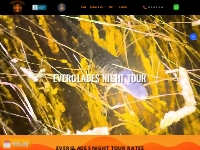 Everglades Night Tour - Airboat Tours