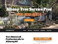 Albany Tree Service Pros - Tree Removal Professionals in Albany NY