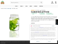 Sea Lettuce (Ulva Lactuca) | Macroalgae | Aquarium Plants - AlgaeBarn