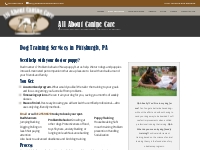 Personalized Dog Training Services in Pittsburgh, PA
