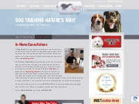 Dog Trainers Offering In-Home Consultations And Lessons