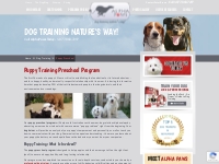 Puppy Preschool Program | Crate Training a Puppy, Potty Training