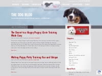Useful Dog Training Tips To Help Prepare Pet Owners