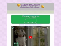 Nutrition | Amber Meadows Goldens - English Cream Golden Retrievers