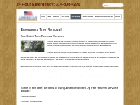 Emergency Tree Removal Service St Louis MO 24/7 | American Board Up