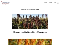 Sorghum News and Information