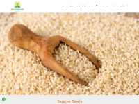 Natural Seasame | Quality Seasame seeds exporters in India