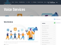 Voice Services Provider Company in Gurgaon, India | Amyntas