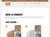 Einkorn Wheat Berries   Flour | Earth’s First Wheat