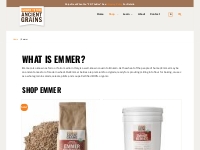 Shop Emmer Wheat Flour | Italy s Farro Ancient Wheat