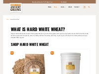 Shop Organic Hard White Wheat Berries | Recipes   Shop