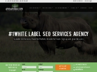 White Label SEO Services Agency | A New India