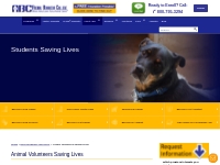 Learn Animal Training While Saving Lives | Explore Animal Jobs
