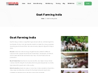 Goat Farming India | Comprehensive Guide | Call 7987590165