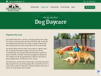 Dog Daycare - The Animal Den