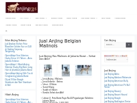 Jual Anjing Belgian Malinois Murah | AnjingRas.com