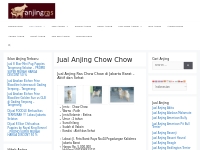 Jual Anjing Chow Chow Murah | AnjingRas.com