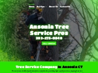       Tree Company | Tree Specialist | Ansonia CT