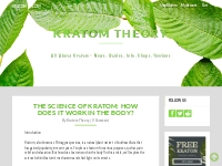 The Science of Kratom: How Does It Work in the Body? - Kratom Theory