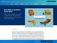 New Babies! Exhibits Open Now | Aquarium News | Aquarium of the Pacifi