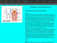 Tooth Anatomy - Dental tooth design & layers