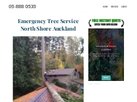 Emergency Tree Service North Shore Auckland