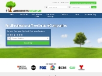Find Top-Rated Tree Service Companies (4.5  Avg Star Ratings)