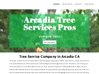 Tree Company | Tree Specialist | Arcadia, CA