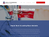 Leak Detection Adelaide | Repair Burst   Leaking Pipes Adelaide