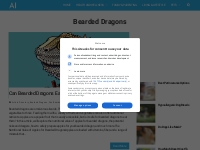 Bearded Dragons Archives - Article Insider