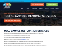 Mold Damage in Phoenix | ASAP Restoration Experts Call Today!