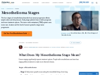 Mesothelioma Staging: The Four Stages of Mesothelioma