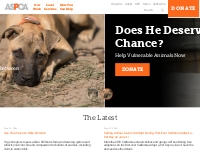 ASPCA | American Society for the Prevention of Cruelty to Animals