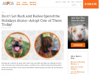 Don’t Let Rudi and Bailee Spend the Holidays Alone—Adopt One of Them T