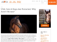 USA: Cats & Dogs Are Protected, Why Aren’t Horses? | ASPCA