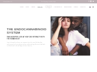 Endocannabinoid System | Aspi | Luxury CBD + Healing Botanical Skincar