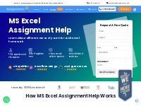 Expert Excel Assignment Help   Homework Solution for Students