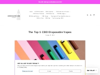 The Top 5 CBD Disposable Vapes - Associated CBD