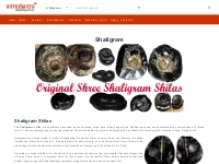 Shaligram Shilas Online, Buy Genuine original Shaligram Shila in Delhi