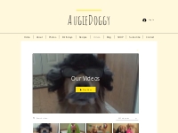 Videos | augiedoggy