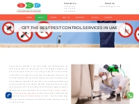 Pest Control Services Abu Dhabi | Pest Control Services UAE