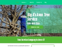            Tree Removal in Avon, CT | Tree Service