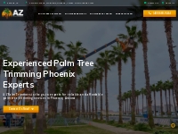 Palm Tree Trimming Phoenix | Tree Trimming | AZ Palm Trimmers