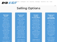 Selling Options - B2B EXIT