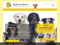 Babbington Dog Rescue - Give a Dog a Loving Home 0115 9324576