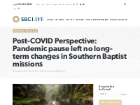 Post-COVID Perspective: Pandemic pause left no long-term changes in So