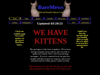 BareMews Sphynx kittens for sale Home Page