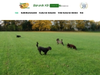 Baronik K9 Services | dog daycare dog